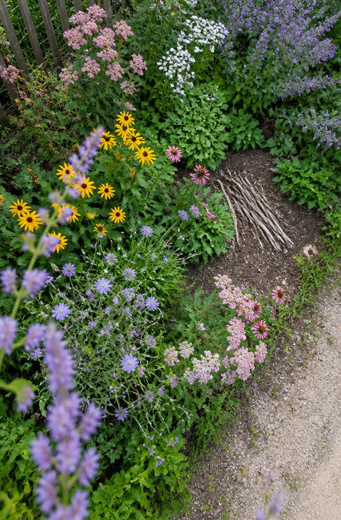 Native wildflowers growing in clusters among garden herbs